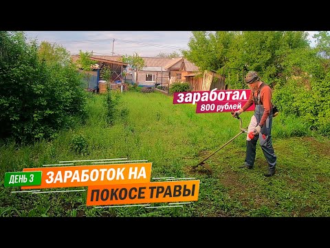 Видео: День 3 | Заработал очередные 800 рублей. Заработок на покосе травы триммером.