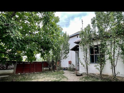 Видео: Продаю прекрасный крепкий немецкий дом (с газом) в Сербии! Заходи и живи 💓 25.000 €
