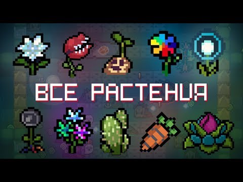 Видео: Все Растения в Soul Knight (ft. Иной PLAYS) | All Plants in Soul Knight!