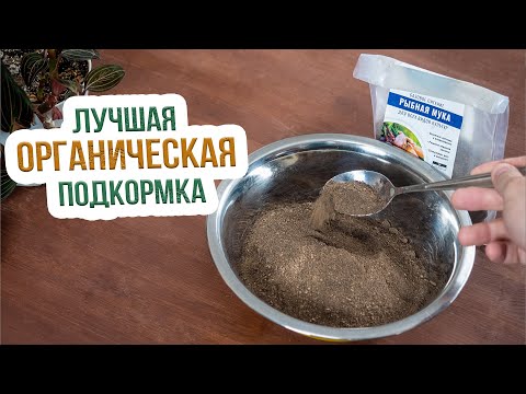 Видео: Рыбная и костная мука как удобрение. Как применять рыбную и костную муку в огороде?