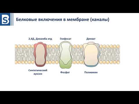 Видео: Гербициды урок 2
