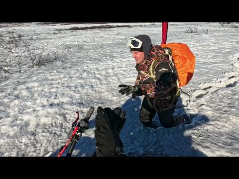 Видео: Боль и страдание