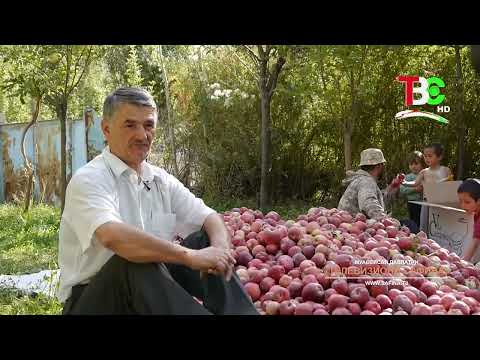 Видео: Деҳаи Гишхун н. Ванҷ | Дар деҳа