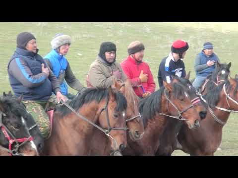 Видео: 25 02 2023 кокпар Шанақ 1986 ж  20-жылдық