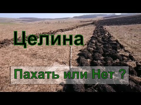 Видео: Как лучше оброботать целину? Плуг или Диски