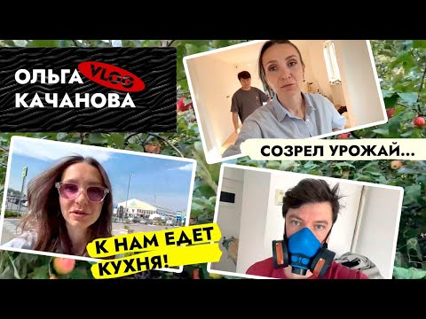 Видео: Не выдержали и ПЕРЕЕХАЛИ 🤧 Созрел УРОЖАЙ. Пол прекрасен 😍 ВЛОГ