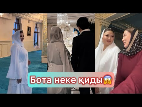 Видео: Бота неке қидырды #қослайықбүгінгіэфир #qoslikeпрямойэфир #бота #кослайкпрямойэфир #айгул #зухра 