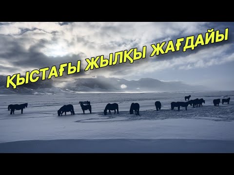 Видео: Қыстаудағы тіршілік, қар басып салды!