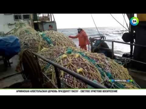 Видео: Траулер «Дальний Восток» сгубила жадность