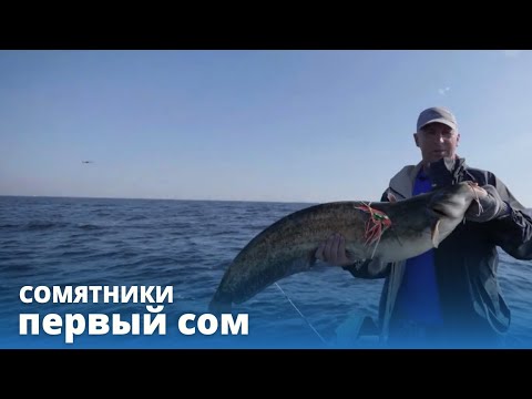 Видео: Первый сом // Сомятники // Выпуск 2