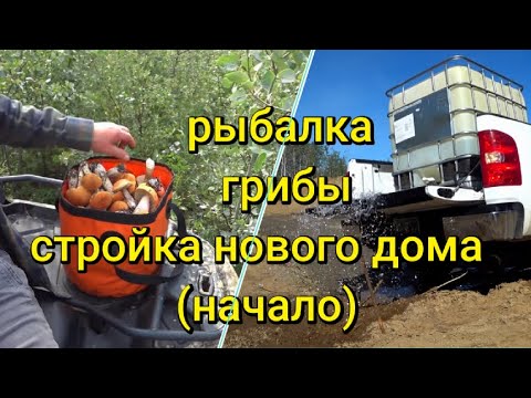 Видео: Жизнь на Аляске. Как начать строить новый дом на Аляске? Сбор грибов. Ловля форели.
