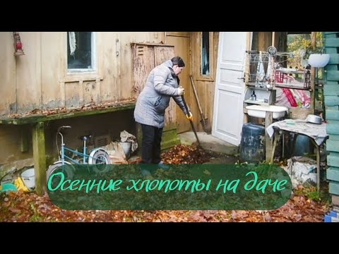 Видео: Дачный день осенью | листья, дрова и немного уюта»