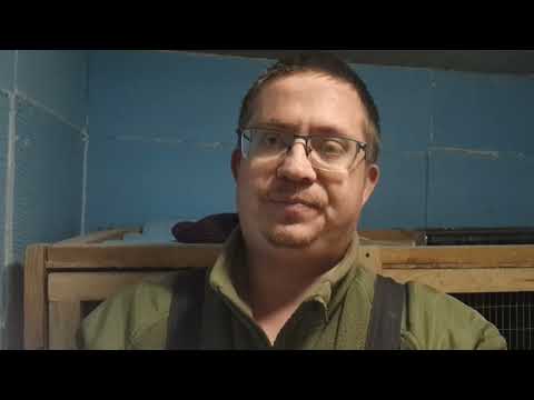 Видео: Вентиляція в пташнику