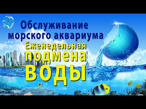 Видео: Еженедельная подмена воды в морском аквариуме. Морской аквариум 400 литров.