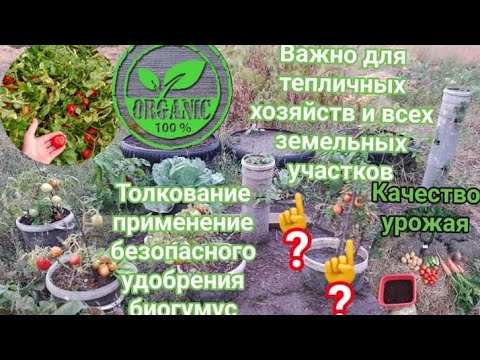 Видео: Важно безопасное удобрение биогумус для тепличных хозяйств, особо важно до климатических перспектив.