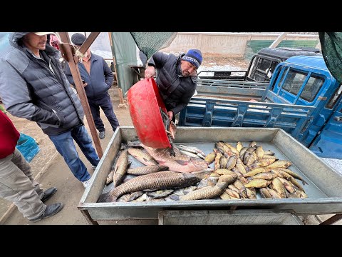 Видео: 19 ноября 2025 г. ТУРТКУЛЬ БАЛИК БОЗОРИ НАРХЛАРИ 