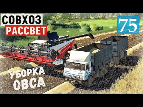Видео: Farming Simulator 19  - Уборка овса.  Везу овёс для муки  - Фермер в совхозе РАССВЕТ # 75