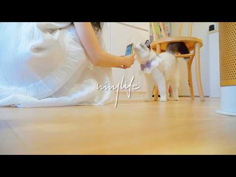 Видео: Первое лето с котами🐈🌿｜Холодная лапша с креветками и чесноком🍜