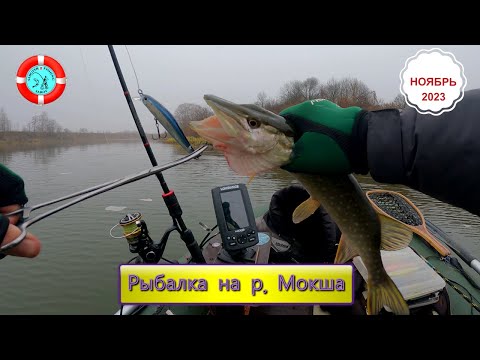 Видео: Рыбалка на р. МОКША/МОРДОВИЯ/Ноябрь 2023