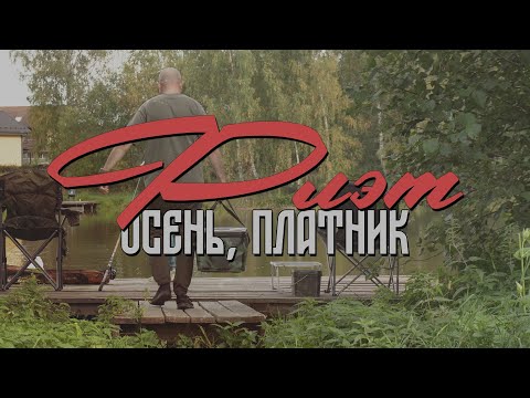 Видео: Флэт фидер осенью на платнике