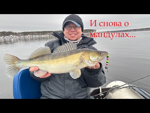 Видео: И снова о мандулках..