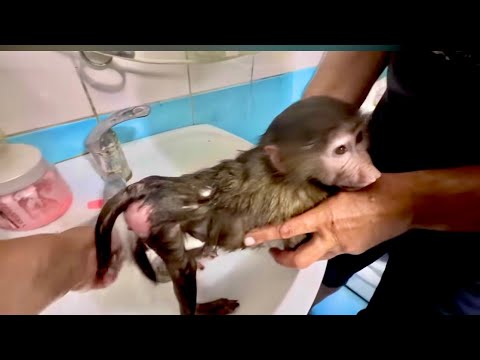 Видео: Анфиса купается, папа СПАСИТЕ, ПОМОГИТЕ, мама жестокая женщина)))