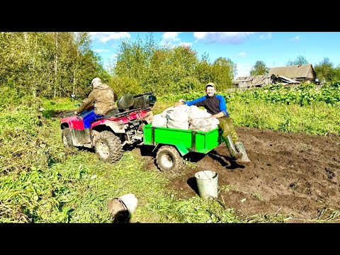 Видео: КОПАЕМ КАРТОФЕЛЬ В ДЕРЕВНЕ. ПЕРЕДЕЛАЛИ ОКУЧНИК В КОПАЛКУ. ВЕЧЕРНЯЯ ОХОТА НА УТОК.