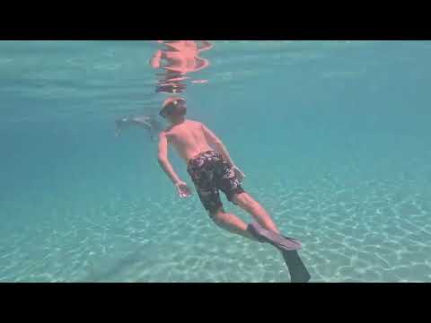 Видео: 21 юли 2025 г.