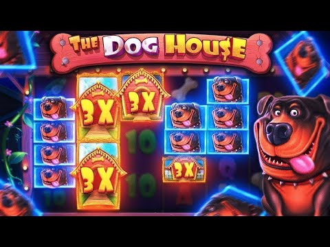 Видео: НЕСКЛЬКО РАЗ СЛОВИЛ ПОЛЯНУ БУДОК И ЗАНОС  В THE DOG HOUSE MEGAWAYS!!! ИДУ В ALL-IN!!!