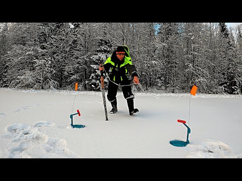 Видео: ПЕРВЫЙ ЛЁД ОДИН НА ОЗЕРЕ. РЫБАЛКА ПО ПЕРВОМУ ЛЬДУ. ПЕРВОЛЁДЬЕ В КАРЕЛИИ. ЖЕРЛИЦЫ