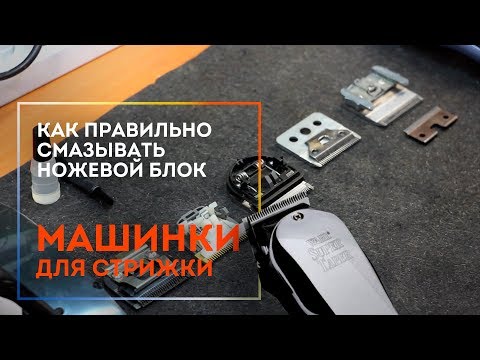 Видео: Как правильно смазать ножевой блок машинки для стрижки