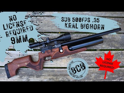 Видео: Обзор Kral Bighorn 9 мм, .35 калибра, скорость до 500 кадров в секунду! BCBALLISTICS