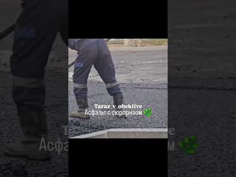 Видео: Колбасшы Койгельды. Разве эти ветви не должны были убрать?