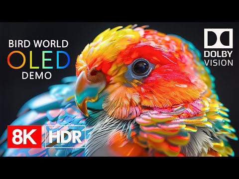 Видео: Мир птиц — 8K HDR Dolby Vision 120 кадров в секунду | Видео 8К