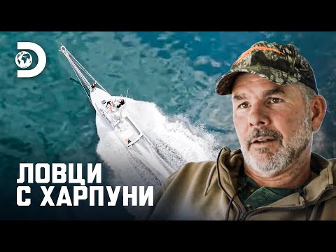 Видео: Победа чрез стратегия | Ловци с харпуни