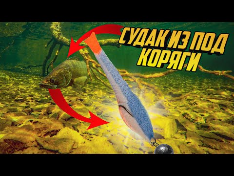 Видео: !!! ТОП 2 !!! цвета ПОРОЛОНА на СУДАКА, Только поролон так может Выманить из под КОРЯГИ судака