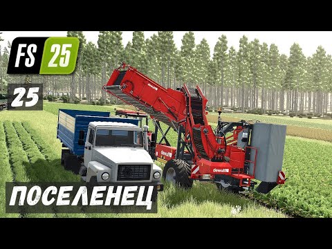 Видео: ПОСЕЛЕНЕЦ в FS 25 - УБОРКА СВЕКЛЫ.  НОВОСТЬ от ДЕДА # 25
