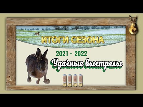 Видео: ИТОГИ СЕЗОНА-УДАЧНЫЕ ВЫСТРЕЛЫ. ЧАСТЬ ВТОРАЯ