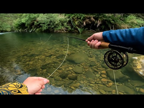 Видео: Сложные условия, крошечные ручьи | Нахлыстовая рыбалка в Новой Зеландии