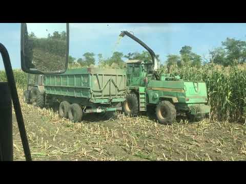 Видео: Продолжаем Заготовку силоса￼