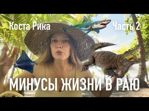 Видео: Часть 2. О чем НЕ говорят туристам в Коста Рике. Минусы жизни в тропическом раю