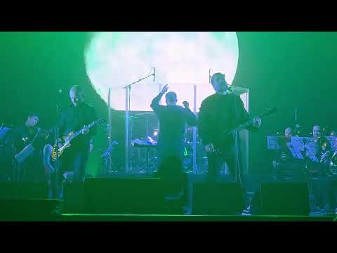 Видео: Северный Флот - Проклятый Старый Дом (Live Новосибирск 18.10.2025)