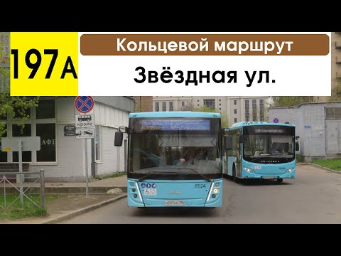 Видео: Автобус 197а "Звёздная ул. - Звёздная ул." (кольцевой) (маршрут закрыт)