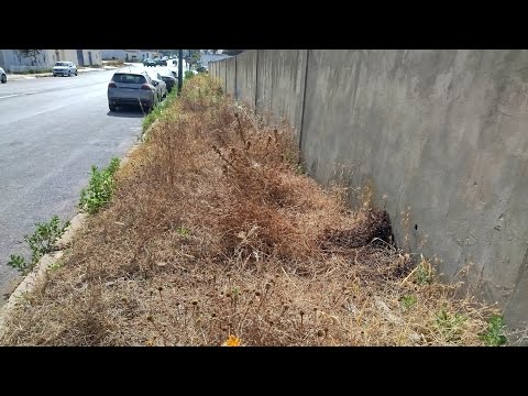 Видео: Все люди покинули тротуар.
