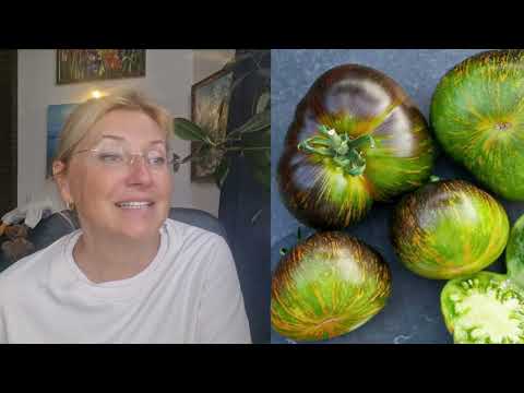 Видео: Какие томаты буду сажать в новом сезоне!!!!