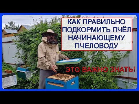 Видео: 🔴 Инвертируем сахарный сироп и кормим пчёл. Пчеловодство для начинающих 2023 🔴