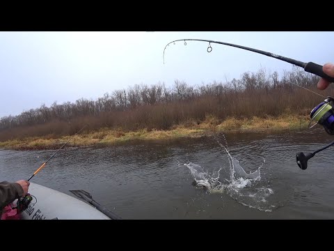 Видео: Попали на Клев Щуки. Очень Много Поклевок. Спиннинг в Ноябре