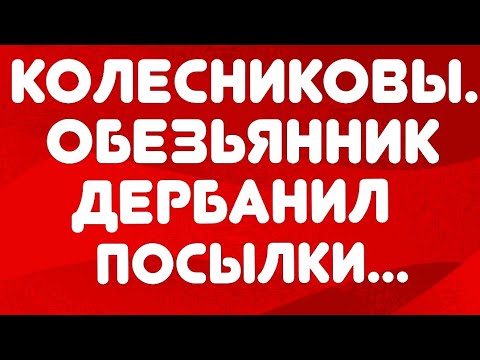 Видео: Колесниковы// Обезьянник дербанит посылку// Обзор видео//