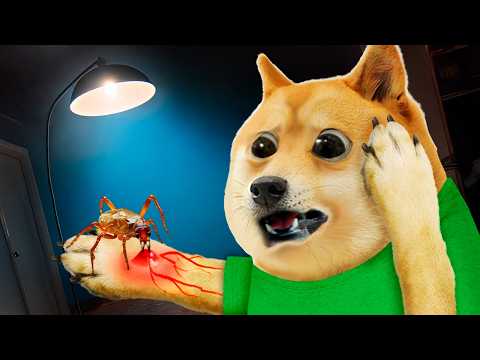 Видео: Я превратился в насекомое 🐛😱