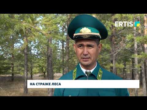 Видео: На страже леса